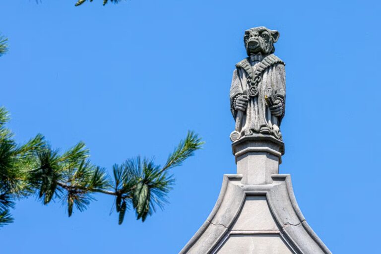 Limestone bulldog architectural carving perched above Yale Law School.